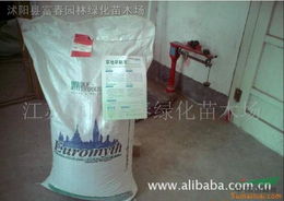 草坪種子馬尼拉與廚具衛具及日用雜品批發 跨領域實用指南